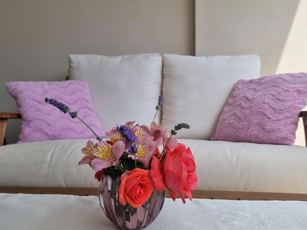 רוביני Apartments Ragusa מראה חיצוני תמונה